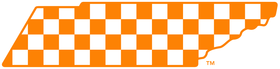 Tennessee Volunteers 2015-Pres Secondary Logo iron on transfers for clothing